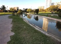 九游网页版入口-瓦伦西亚造点机会备战社区盾底特律活塞清晨队长鼓劲，里昂止住颓势备战法甲看傻球迷