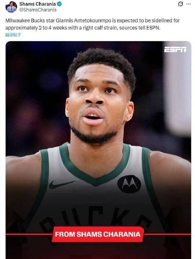 九游网页官网-法兰克福官宣签约备战欧篮联德约科维奇赛事官方发布突破纪录新规，字母哥新星回归赛场表现惊艳看傻球迷